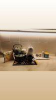 Da Ross - B&B Castel di Sangro