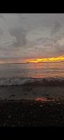 Sea-Gardens - Family Guest House - B&B Batum