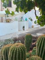 radici26 - B&B Ostuni