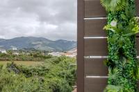 São Pedro house - B&B Ribeira Grande