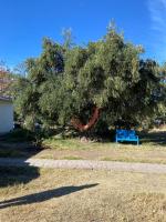 Finca Zen, naturaleza y agroecologia - B&B San Rafael