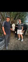 Dosoi Guest House Experience Song-Kul with Horseback Tours - B&B Kyzylemgek