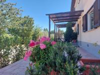 Frantoio Pistelli - B&B Terni