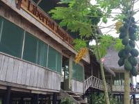 Libertad Jungle Lodge - B&B