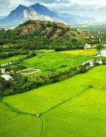AK FARM HOUSE-Holiday home - Ferienwohnung Suchindram