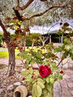 Villa Graziosa - Bed and Breakfast Marina di Casal Velino