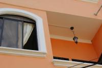 Hostal Duncan - B&B Puerto Ayora