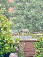 Casa Azul in the Red Rocks - B&B Sedona