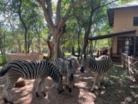 Blyde River Self-Catering Studios - B&B Hoedspruit