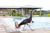 17 Feverberry - Ferienwohnung Ballito