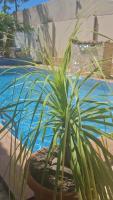 Maktub Estadia e recepções - B&B Paulista