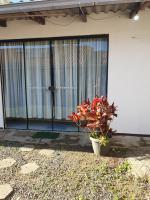 Puro Dengo 1 - Chambres d'hôtes São Francisco do Sul