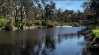 Riverfront, Tiny Home in Natural Bush - Bed and Breakfast Bridgetown