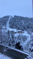Tanau Rentals - El Nido del Telesilla, Ski-in - B&B Baqueira-Beret