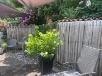 Bed & Breakfast Bodensee mit Herz - B&B Stockach