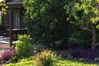 Orr Halevana - B&B Bruchim Qela' Alon