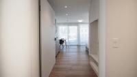 Basic Apartment