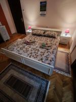 Apartmani Aleksići-AS Sokobanja U CENTRU - B&B Soko Banja