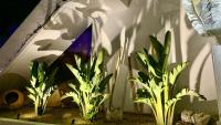 Casa Infinidad - Ferienwohnung Moraira