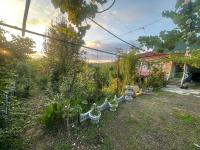 Guest House David - B&B Gumbra