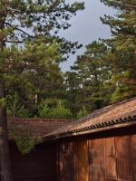Llogara Wood Lodge - B&B Valona