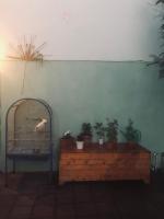 Wild Caspian coast - B&B Aşağıoba