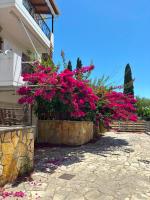 Dream Summer Sivota 2 - B&B Sývota