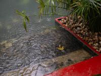MÔ he'ritage - boutique villa - B&B Sơn Tây
