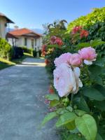 Вила Магнолия - B&B Lakarevo