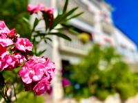 Ahel Apartments - Bed and Breakfast Jadranovo