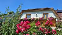 Haus am Schönberg - B&B Sooss