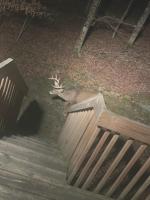 Cabin Life at Beech Mountain - B&B Beech Mountain