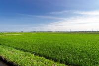 TAGO STAY Entire House Towada Oirase Hakkoda Sightseeing Taxi available - B&B Towada