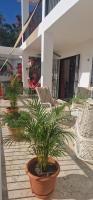 Villa Aurora Samaná - Ferienwohnung Samana