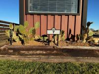 Container Home with Rooftop Deck & Pool Access - B&B Fredericksburg