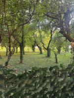 Olive Nest Ohrid - Bed and Breakfast Ohrid