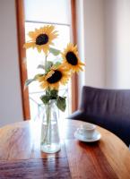 Ravangrad Central Duplex - B&B Sombor