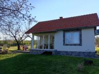dr Genius Cottage - B&B Negotin