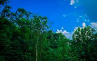Lovely Homestay - B&B Ella Town