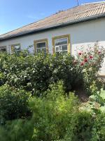 Ata Konush , Retro Guest House - B&B Bokombayevskoye