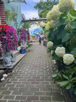 bungalow Amalfi in Cologne - B&B Colonia