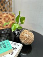 Suzzie Retreat - B&B Puducherry