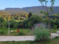 Sunnyside apartments-Pale, Ravna Planina, pool & jacuzzi - B&B Pale