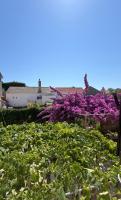 Appartamento con Vista Mare