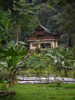 Bukit Lawang Batu Kapal Rimba House - Chambres d'hôtes Timbang Lawan