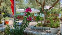 Elvish Garden Boutique B&B - B&B Berat