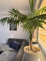 Apartman Emilija - B&B Gradiska