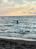 Seaside house Shekvetili - B&B Shek’vetili