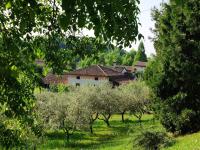 Casa Cotogna Vacation Apartment - Chambres d'hôtes Liedolo
