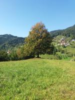 Cosy Apartment Pr Potokar - B&B Podlonk